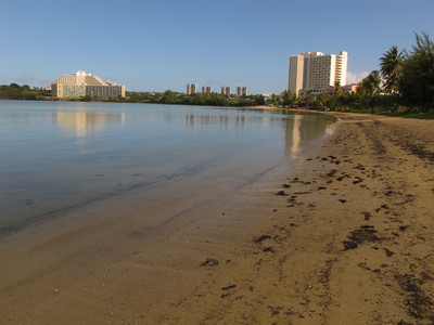 d0167041_15252.jpg