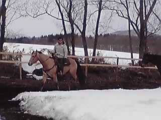 今年はフキノトウが出るのも早いです_e0145441_19212987.jpg