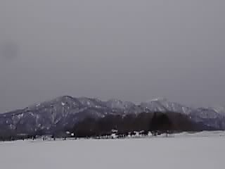 今年はフキノトウが出るのも早いです_e0145441_19242723.jpg