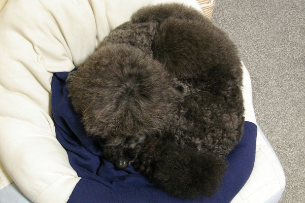 d0026745_2182131.jpg