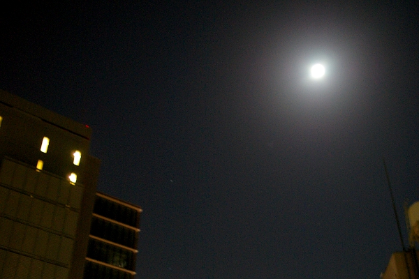 d0026745_219210.jpg