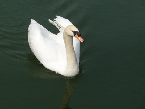 c0221349_13203529.jpg