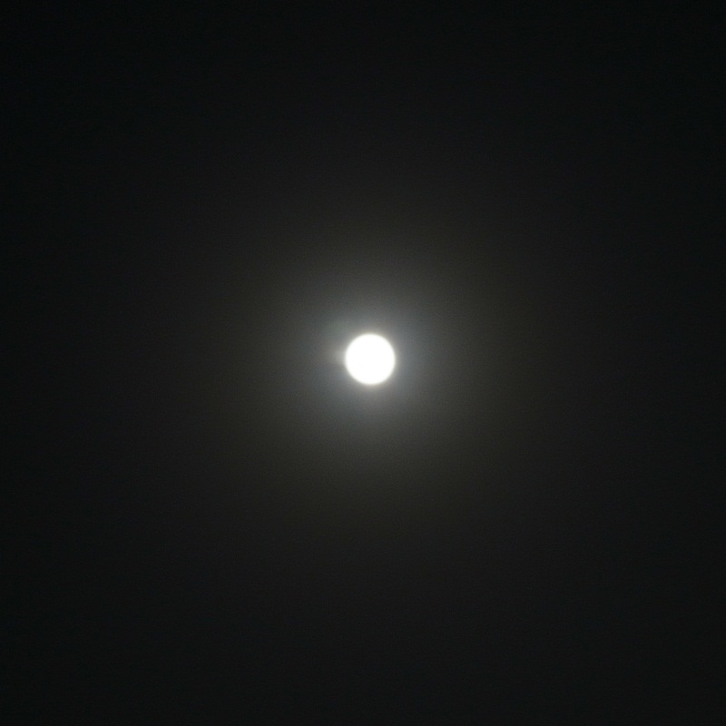 Super Moon_f0211150_2362313.jpg