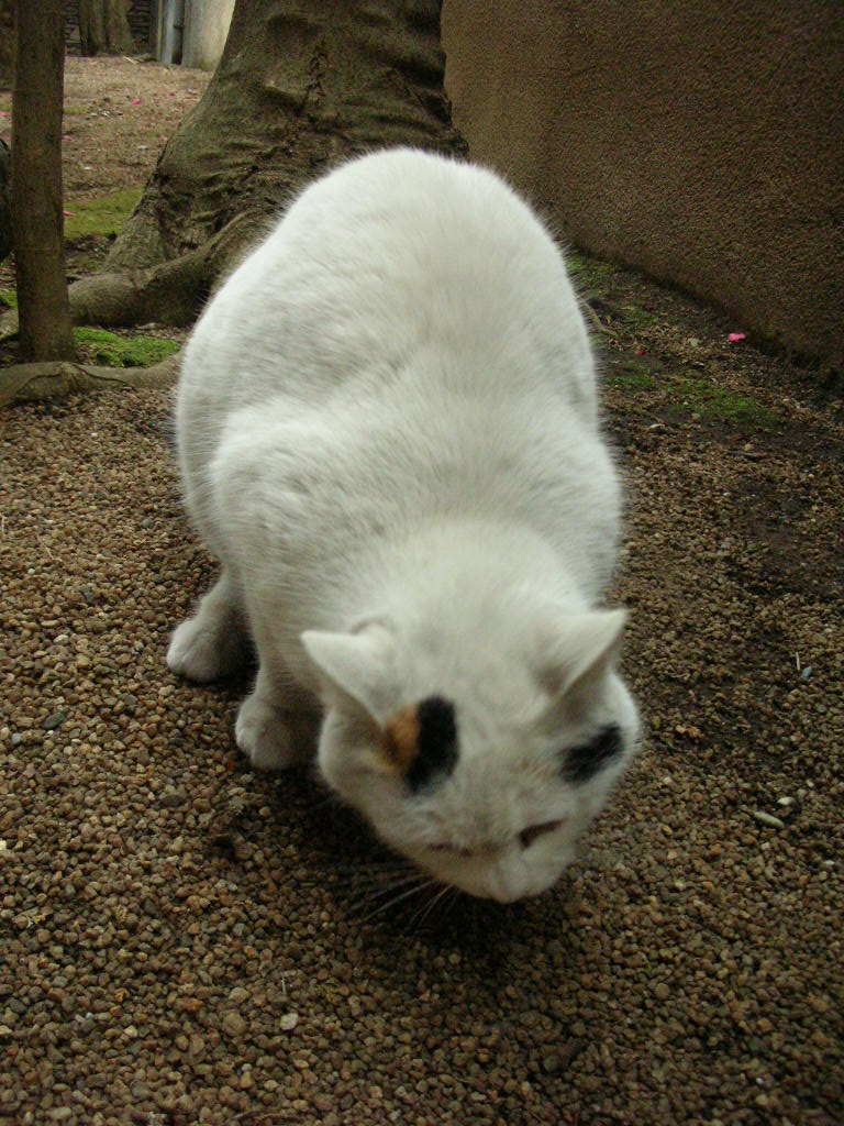 c0228356_96815.jpg