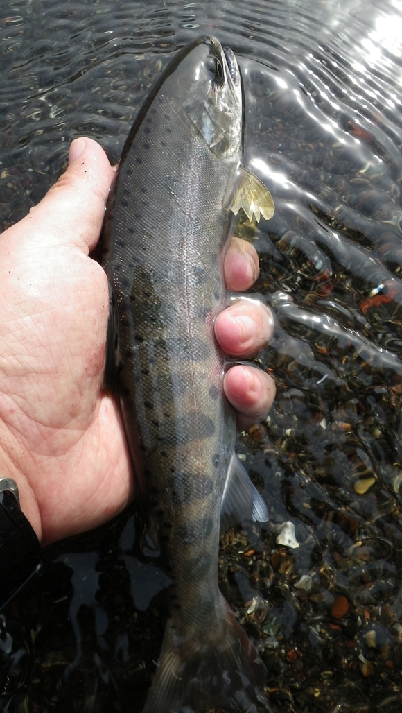 e0212759_220472.jpg