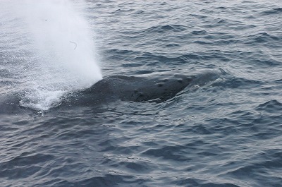 c0180460_1581416.jpg