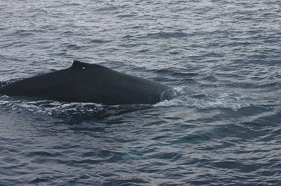 c0180460_202220.jpg