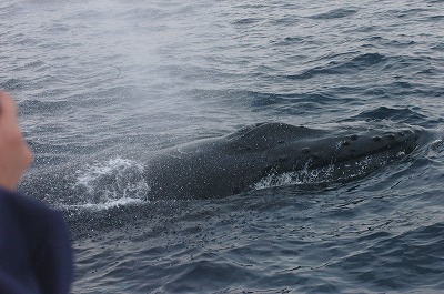 c0180460_20523.jpg