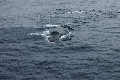 c0180460_21364.jpg