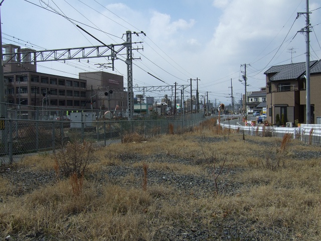 船越5丁目・花都川付近_b0095061_21481021.jpg