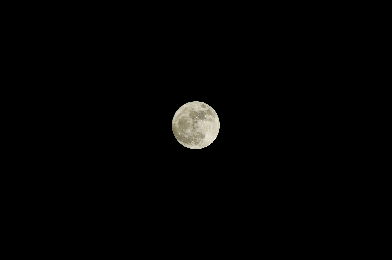 e0128187_6102285.jpg