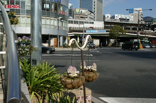 d0181492_1625584.jpg