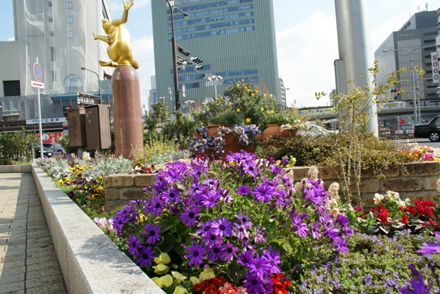 d0181492_163411.jpg