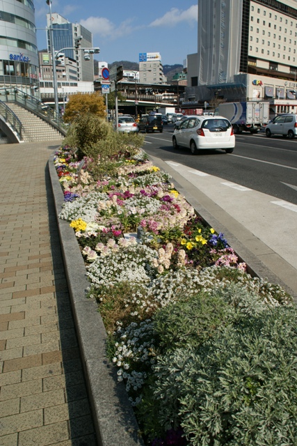 d0181492_163887.jpg