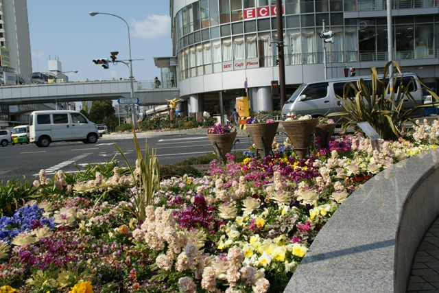 d0181492_1641357.jpg