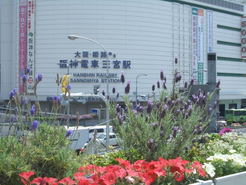 d0181492_18253070.jpg