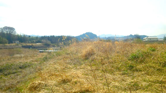 e0083097_17401849.jpg