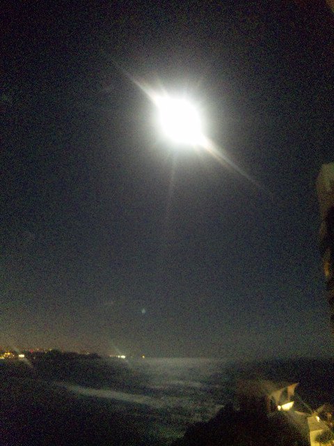 b0048298_33134.jpg