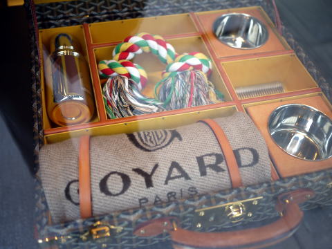 c0090198_5172665.jpg