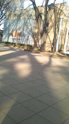 ラーイーブー_d0153198_2311766.jpg