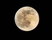 d0034501_0435435.gif