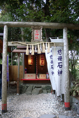 d0090101_1245345.jpg