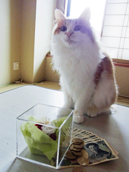 b0189509_12274717.gif
