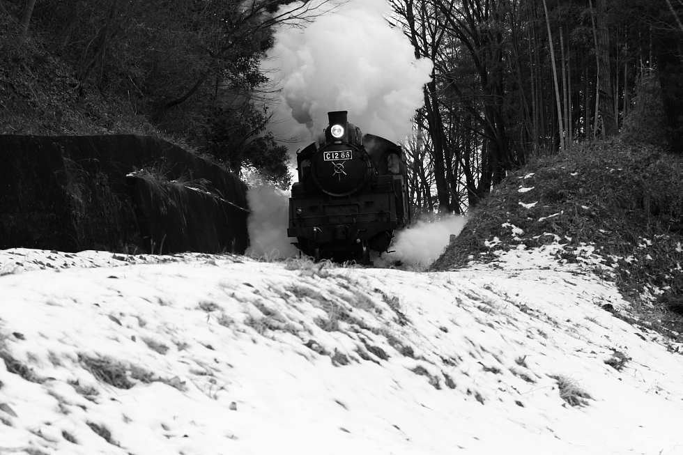 白煙とドレーンと残雪 - 2011冬・真岡 -_b0190710_21294334.jpg