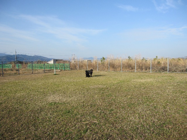 d0081210_10174385.jpg