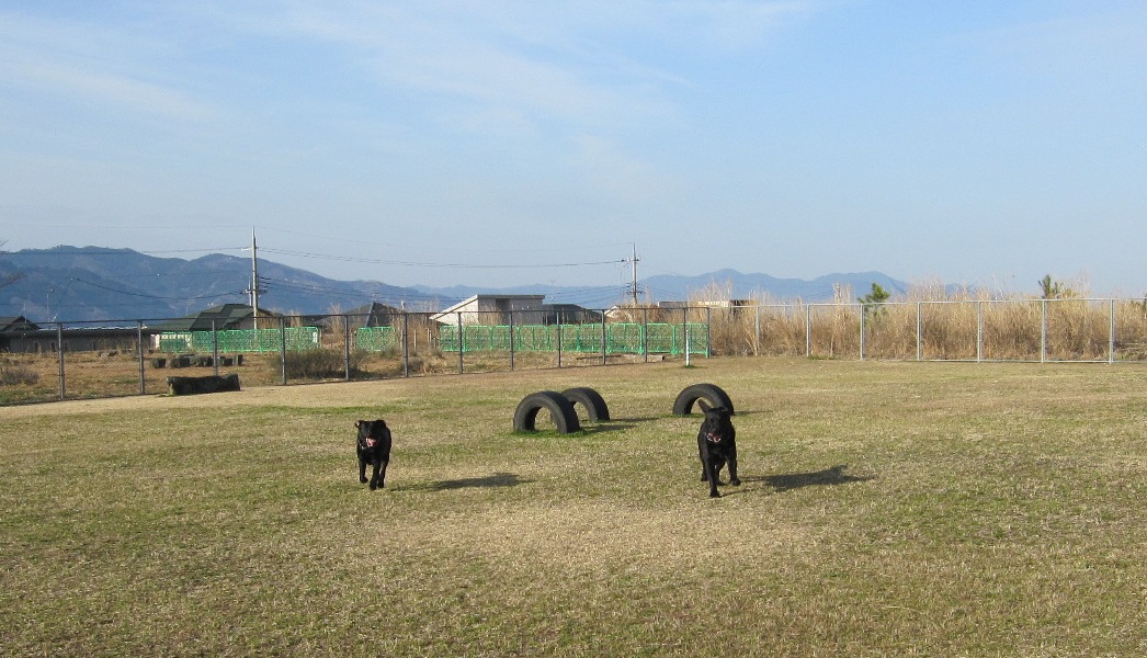 d0081210_1018322.jpg