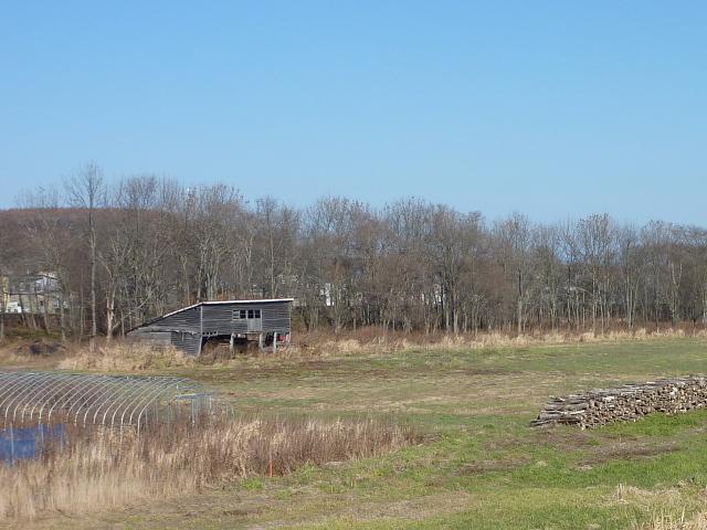 e0062415_17422333.jpg