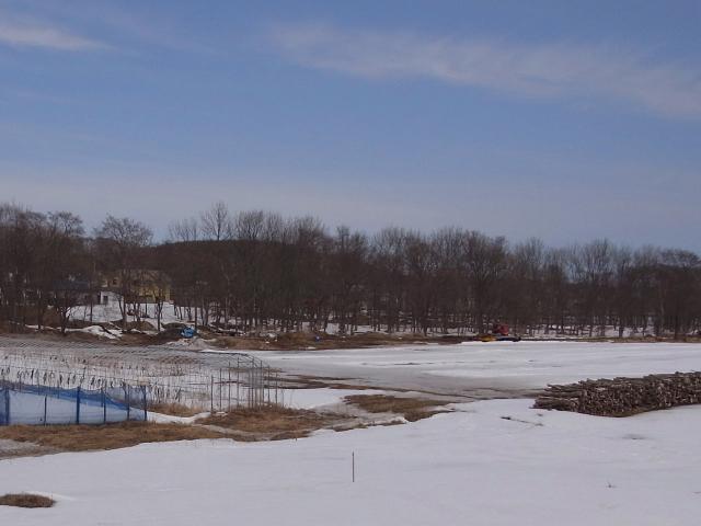 e0062415_1742524.jpg