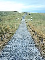 e0114015_1850123.jpg
