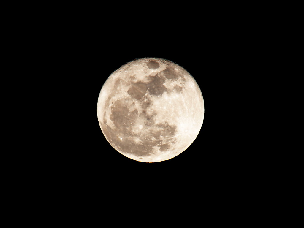 d0192516_1352321.jpg