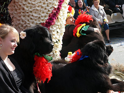 コルソー・フロリー(花祭り)_d0062721_7392847.jpg