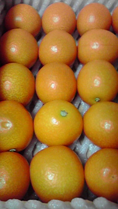 d0110022_9383641.jpg