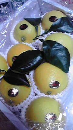 d0110022_9383650.jpg