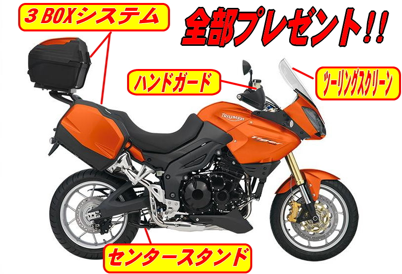 タイガー_d0100125_1752324.jpg