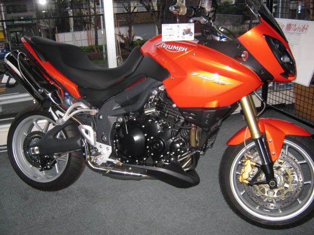 タイガー_d0100125_1754418.jpg