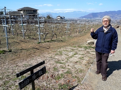 蔵めぐり 丸藤葡萄酒工業(ルバイヤート)@山梨勝沼_d0113725_19445863.jpg