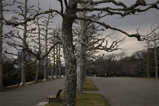 e0205625_13144239.gif