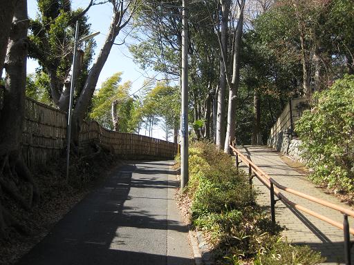 c0217931_1731137.jpg
