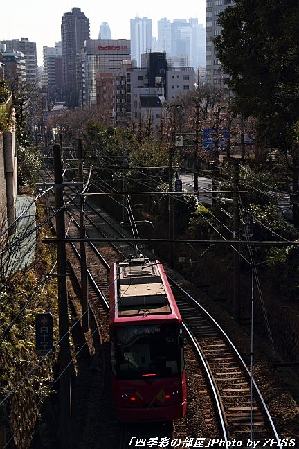 a0195032_10362312.jpg