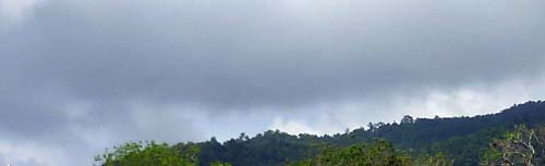 b0063436_173360.jpg