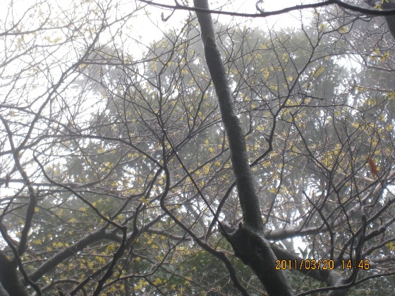 c0077338_74060.jpg