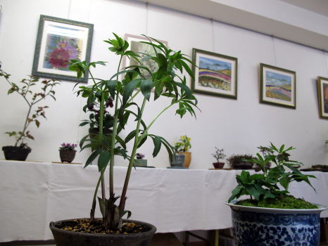 c0147952_19311815.jpg