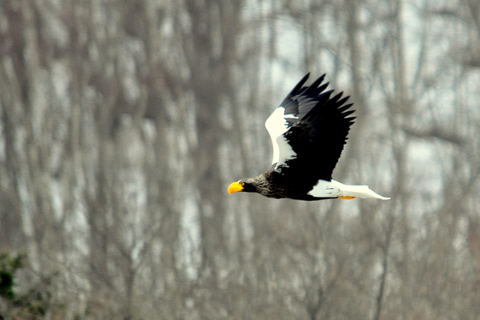 b0165760_1710361.jpg