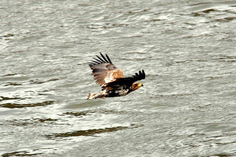 b0165760_17112323.jpg