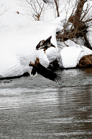 b0165760_171265.jpg