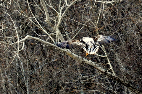 b0165760_17134592.jpg